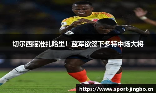 切尔西瞄准扎哈里！蓝军欲签下多特中场大将